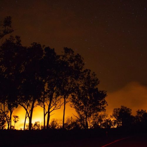 Bushfire glowing orange behind silhouetted trees at night, highlighting the importance of knowing your bushfire attack level.