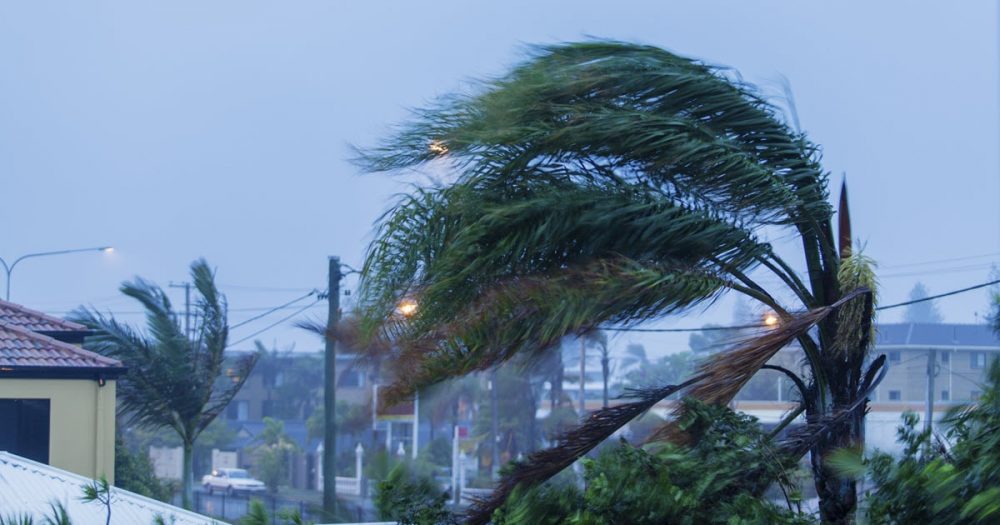 Reduce the damage caused by debris in extreme winds.