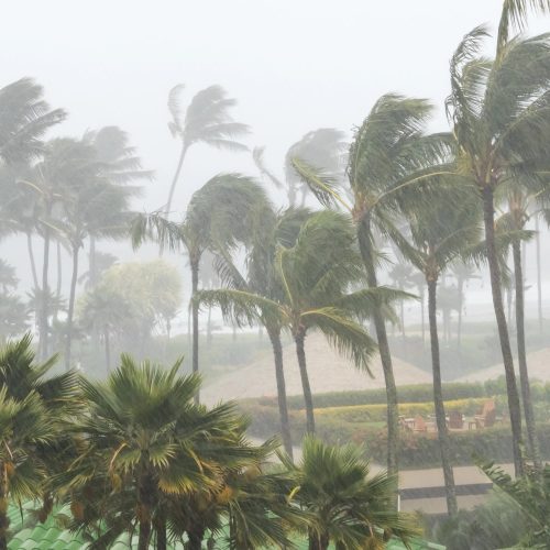 Cyclone security screens, both egress & fixed, can resist the most violent winds.