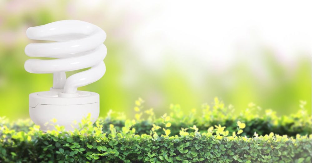 Energy rated appliances like efficient light bulbs.
